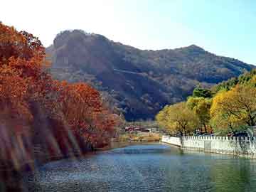 新澳天天开奖资料大全旅游团，我和美女老板